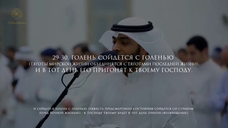 Ахмад ан Нуфейс   Сура 75 «Воскресение» Al Qiyamah