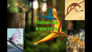 Попытки взлететь(Черновик эволюции)