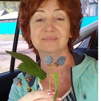 Вера Мартыненко |