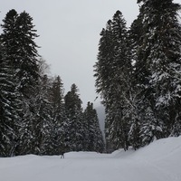 Анна Кривошеева | Волгоград