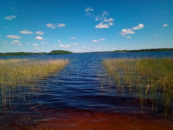 Сямозеро фото. Сямозеро карелия. Озеро сямозеро. Шервуд сямозеро. Сямозеро участки.