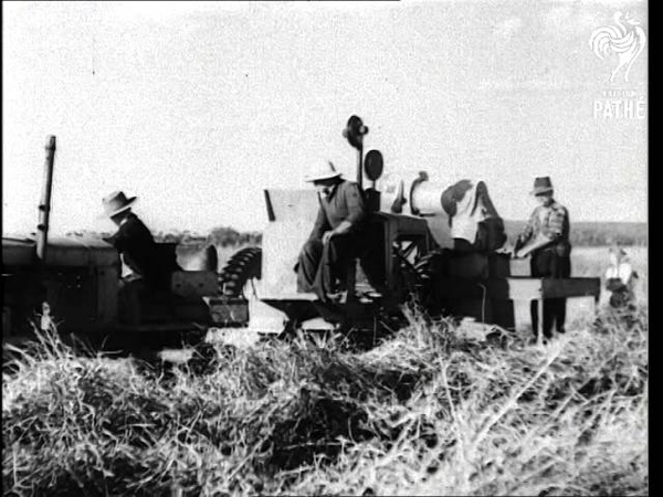 Farming Rice Aka Ricelands Of Australia Issue Title Is Good Hunting