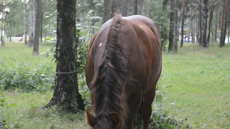 Видео от Мэри