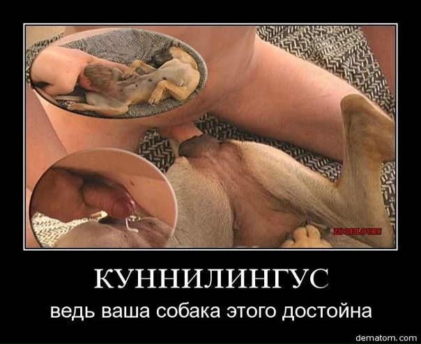 №148, Константин Сергеевич, 37 лет, Москва №148, Константин Сергеевич, 37 лет, Москва