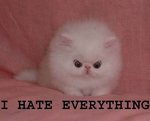 №13, Никита Мягких, 18.05.1986 №13, Никита Мягких, 18.05.1986