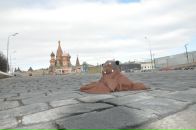 Фотография Борис Виноградов