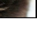 №7, Михаил Войтик, 28 лет, Минск №7, Михаил Войтик, 28 лет, Минск