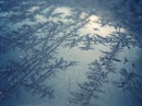 Фотография Бобровской Ирины