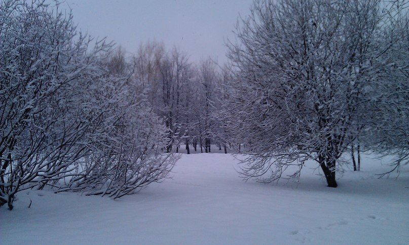 Анна Петрова | Москва