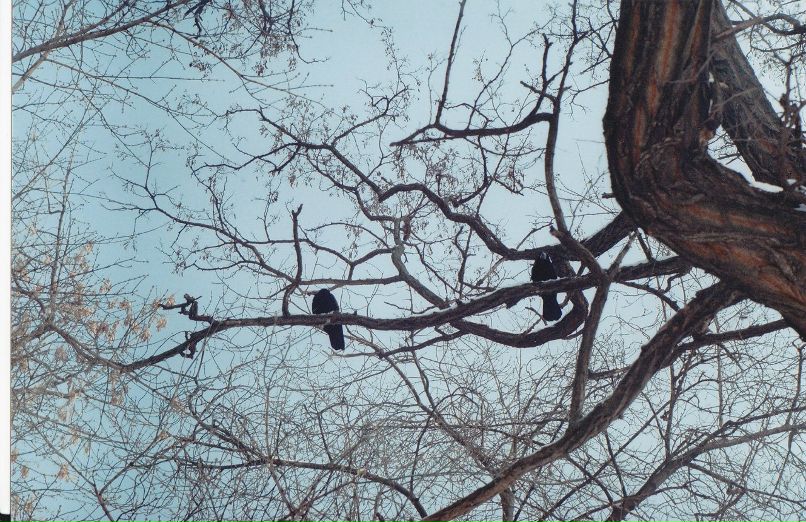 Юля Зобенко | 