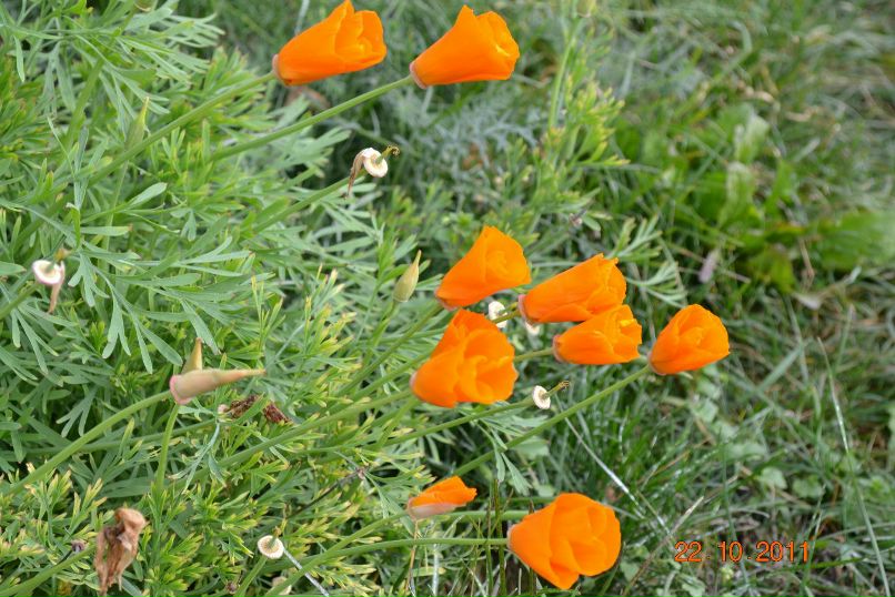 Елена Башкова | Ижевск