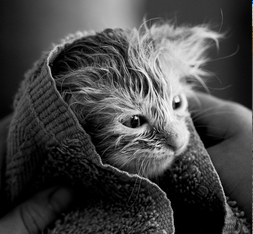 Ольга Франц Львовна | Ступино