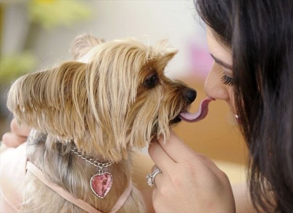 Евгения Маслюкова | 