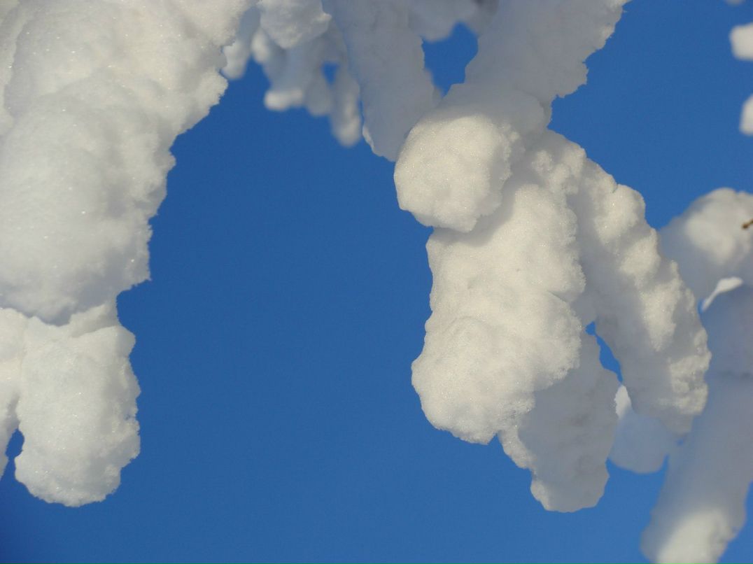 Родион Андрианов Родя | Челябинск