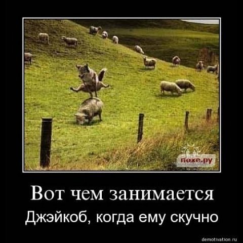 №134, Андрей Бордаков №134, Андрей Бордаков