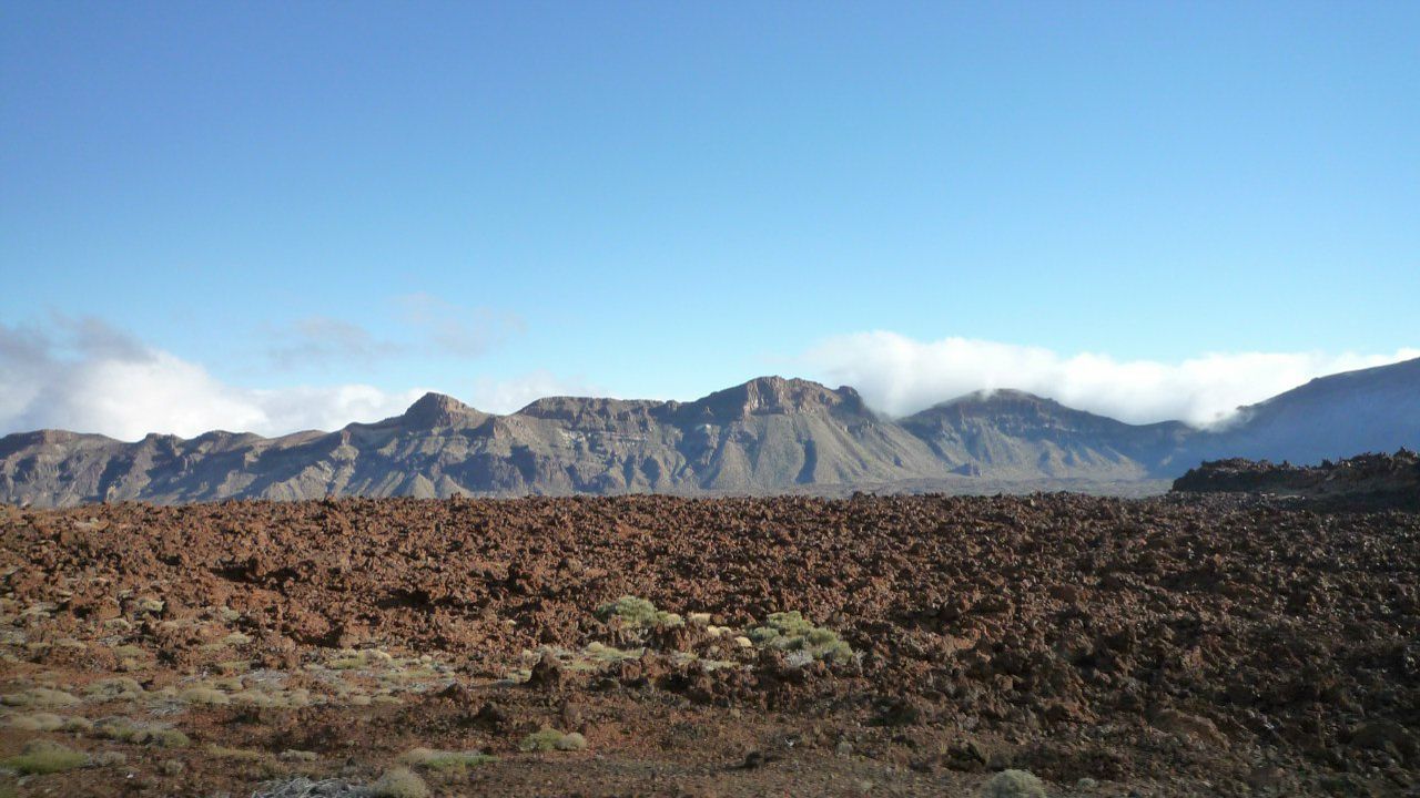 Илья Нестеренко | Санкт-Петербург