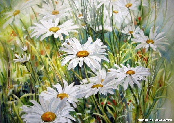 Евгения Усманова | Вышгород