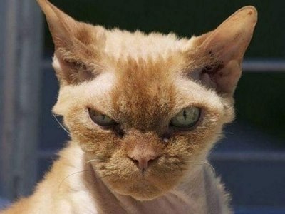 Анастасия Вашакидзе | Киев