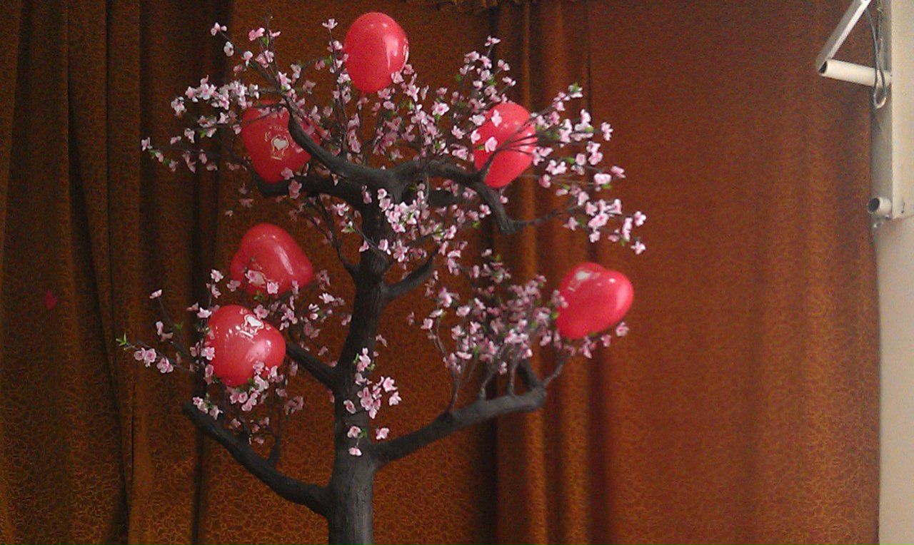 Елена Навроцкая | Киев