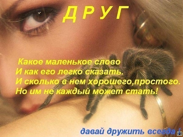 №109, Наталья Садовник, Мелитополь №109, Наталья Садовник, Мелитополь