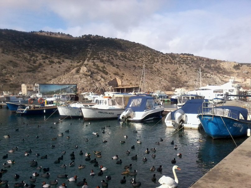 Оля Иванкова | Севастополь