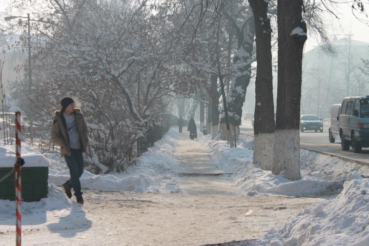 Светлана Люльчак | Алматы