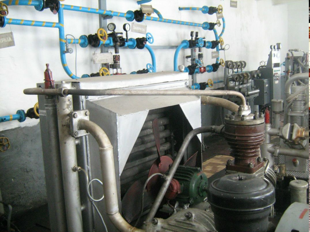 Ваня Тарасевич | Ивано-Франковск