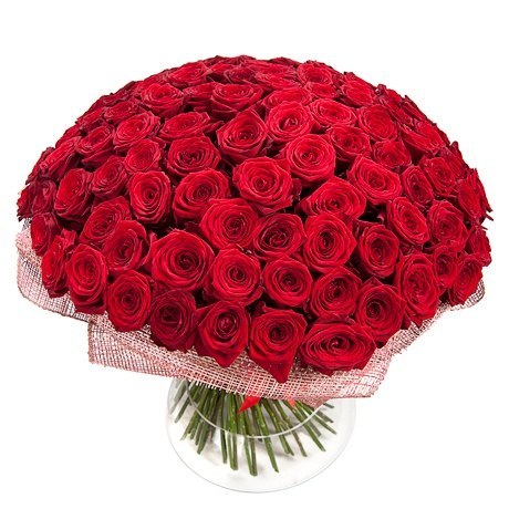 №176, Диана Погосян №176, Диана Погосян