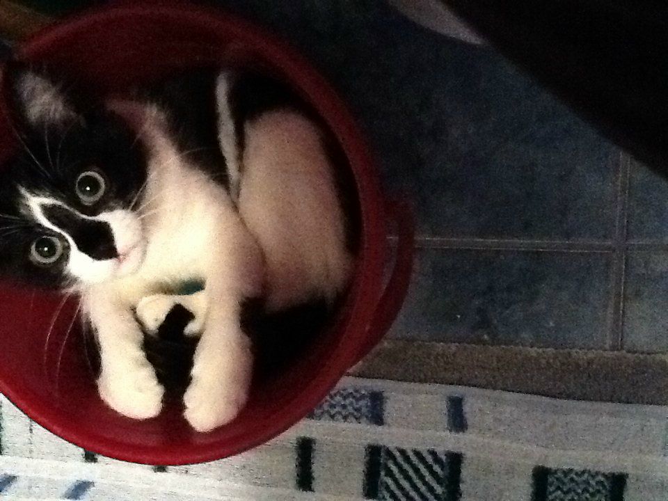 Ирина Романова | Самара