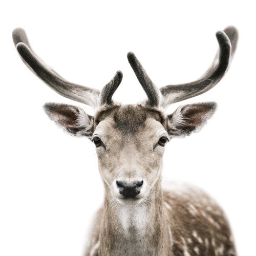 №27, Кристина Буш, 32 года, Лобня №27, Кристина Буш, 32 года, Лобня