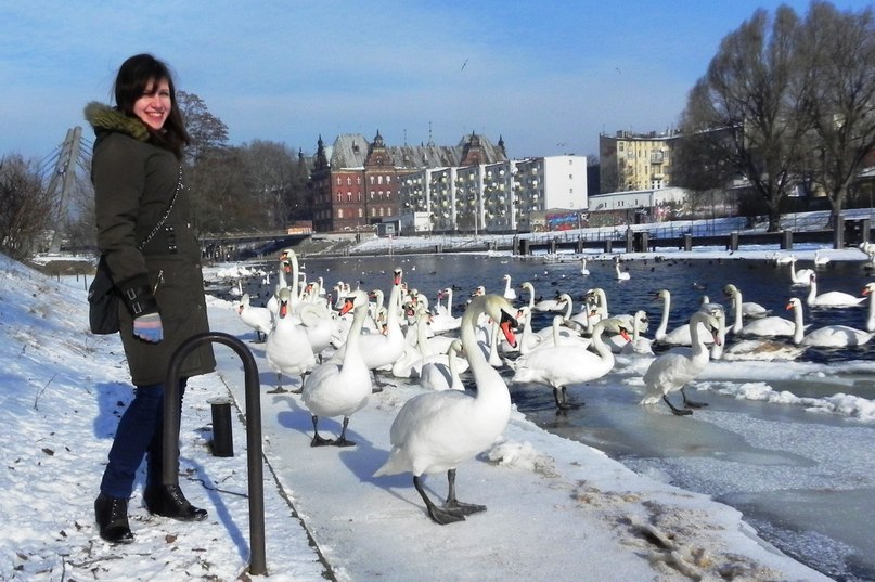 Оля Йендрук | 