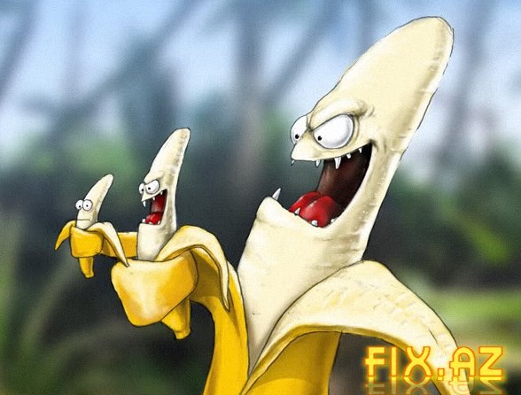 Andrei Шарагин | Санкт-Петербург