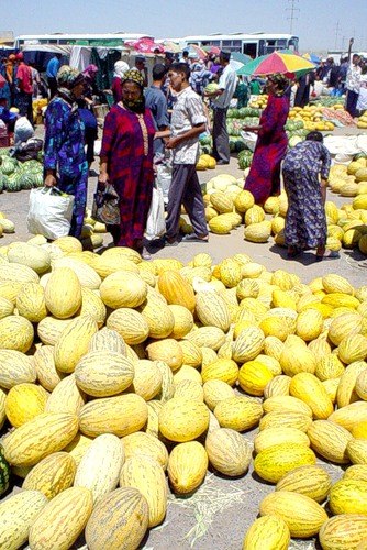 Назар Розыев | Санкт-Петербург
