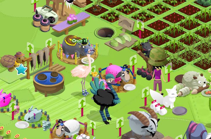 Ольга Васина | Санкт-Петербург