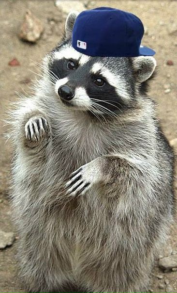 №5, Ростислав Левченко №5, Ростислав Левченко