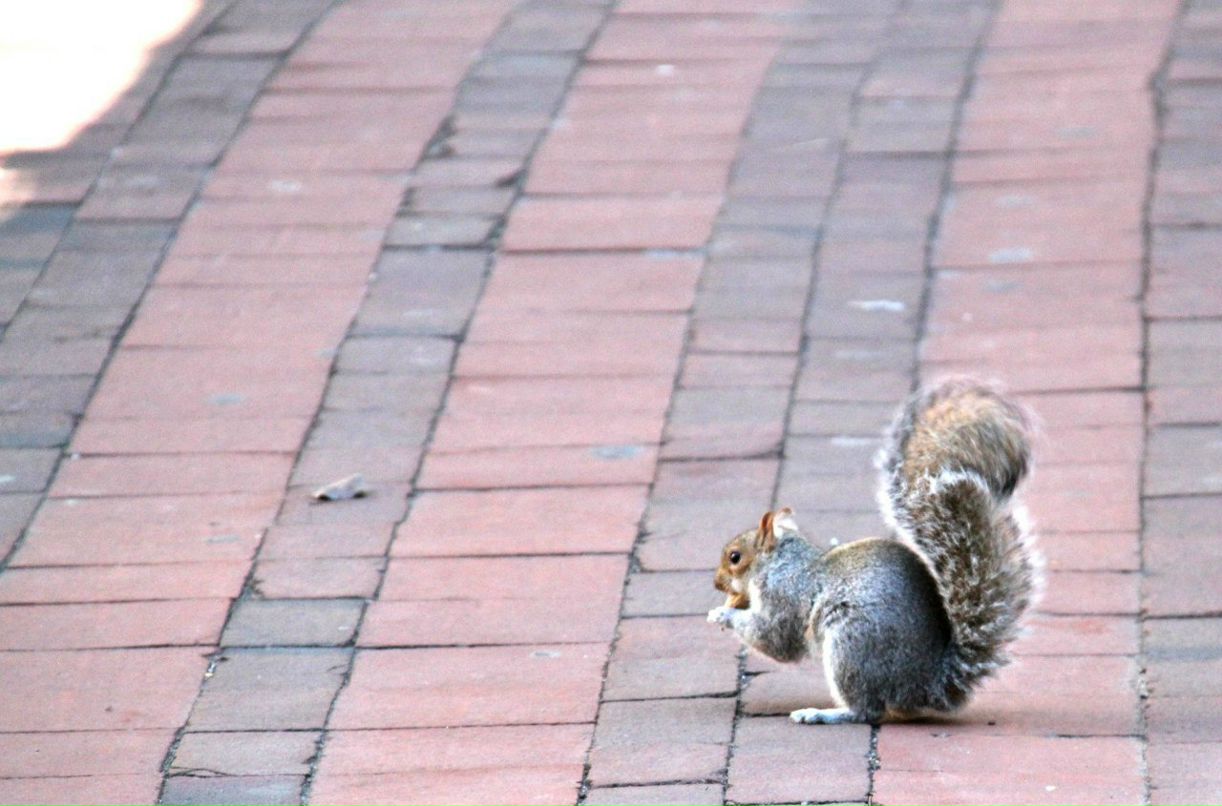 Денис Козьминых | Москва