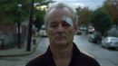 Фотография Bill Murray