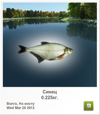 Стас Островский | Кишинев