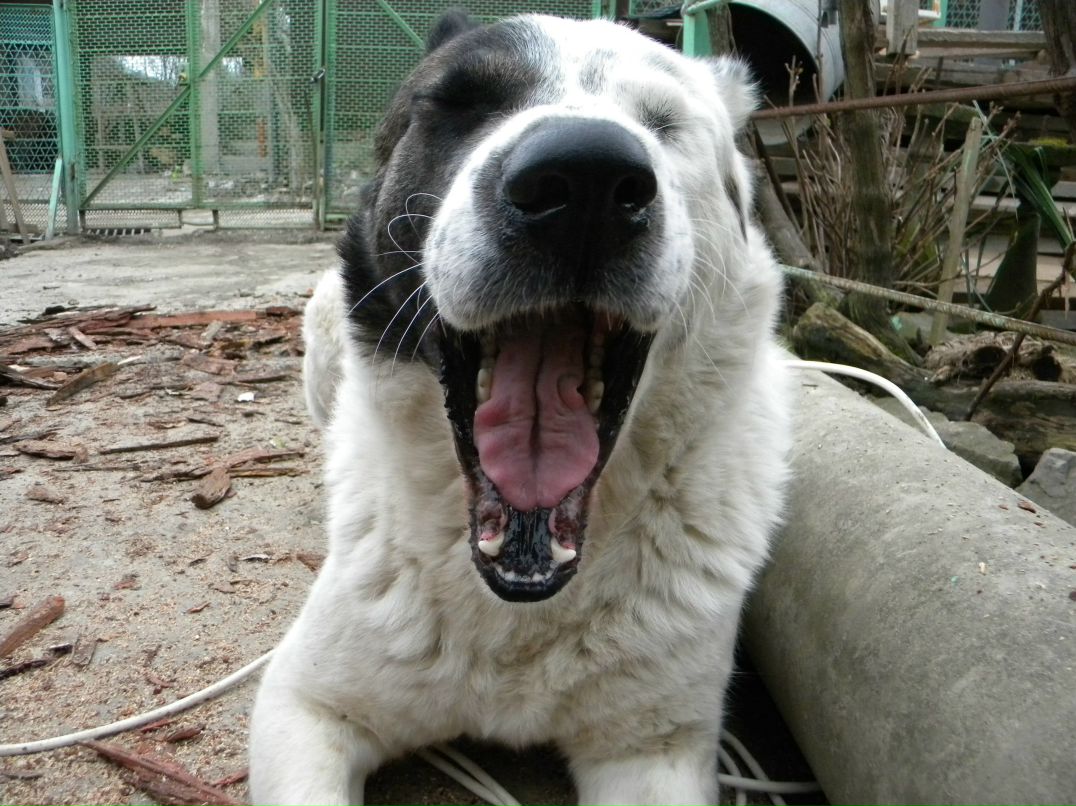 Ваня Новоселов | Сочи