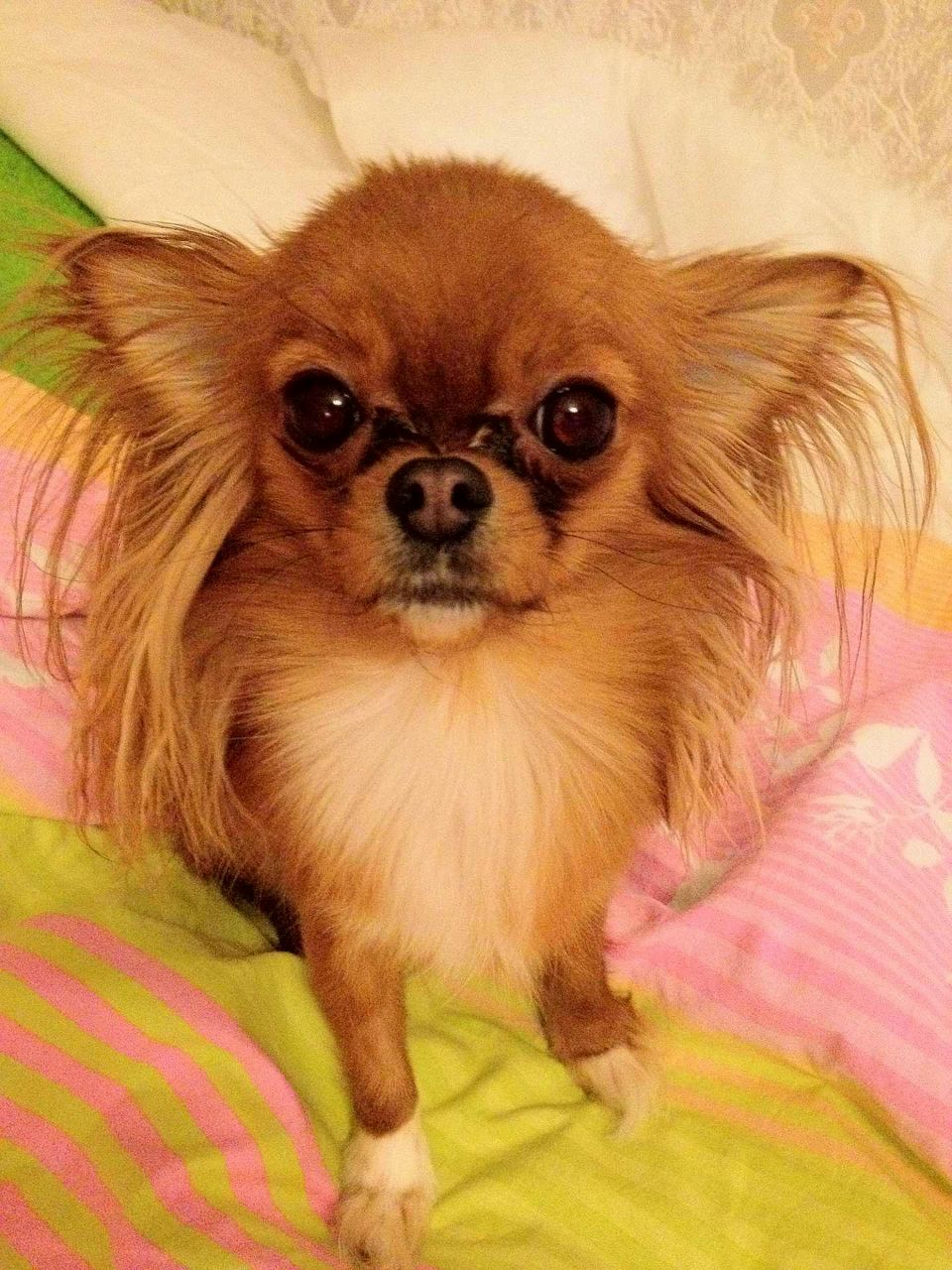 Митя Петяев | Москва