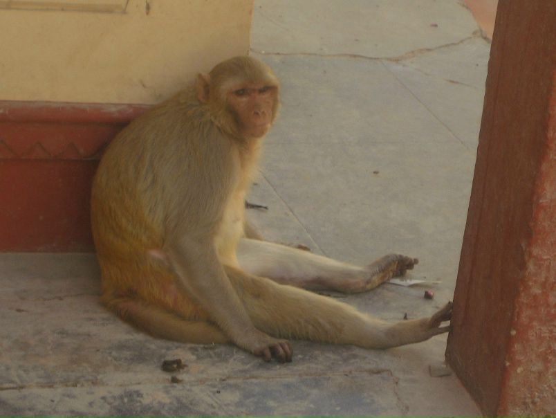 №47, Алла Акишева, Казань №47, Алла Акишева, Казань