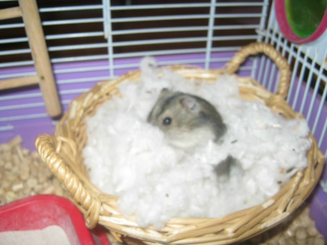 Ольга Печенко | Санкт-Петербург