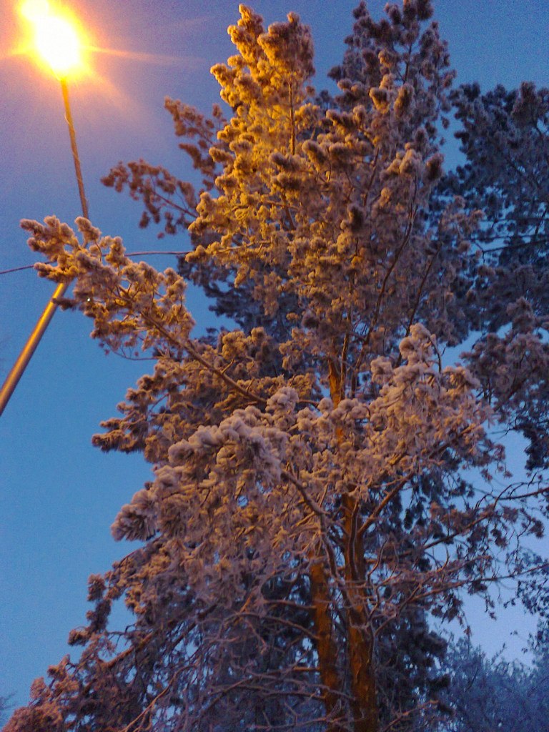 Олеся Борзеница | Новосибирск