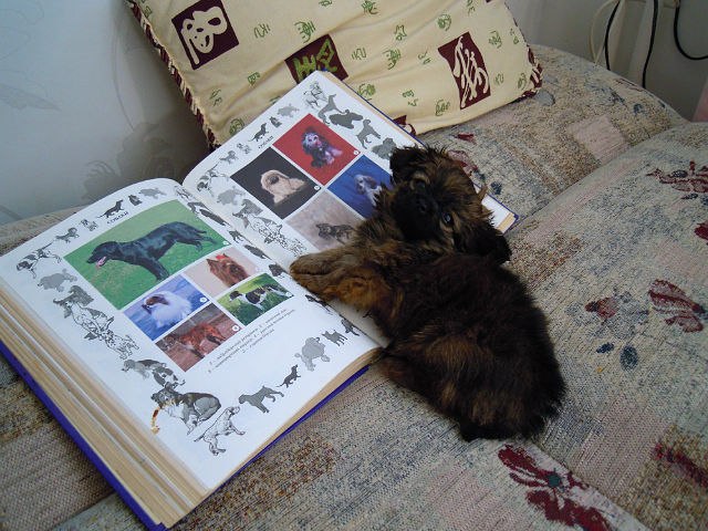 Анна Наталич | Таллин