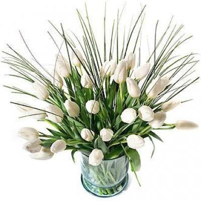 Клим Летов Rastaone | Москва