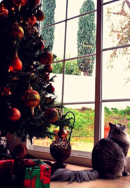 №61, Настя Сафооонова №61, Настя Сафооонова