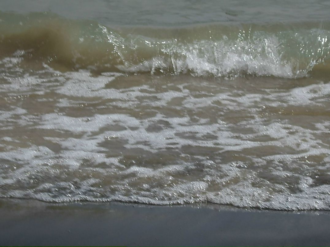 Роман Маланичев | Москва