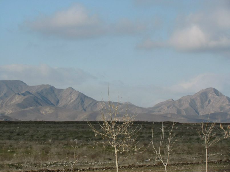 Александр Глущенко | Украинка