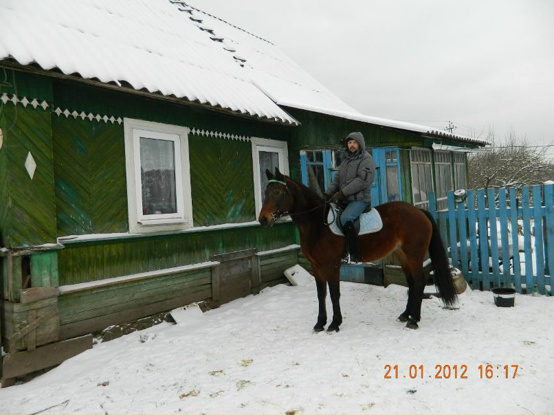 Сергей Скутте | Санкт-Петербург
