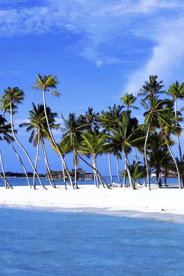 Monika Kiss | Москва